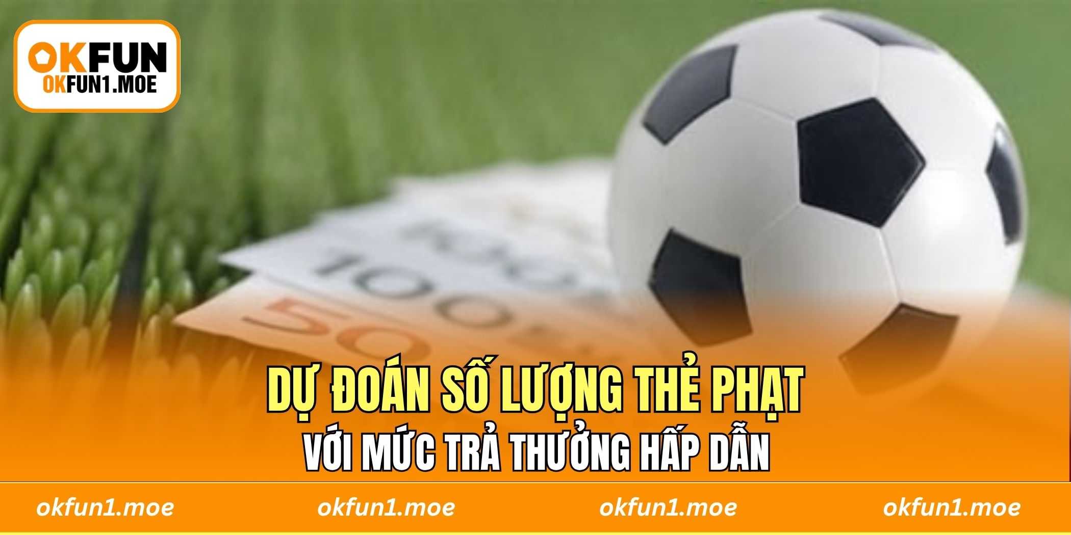 Dự đoán số lượng thẻ phạt với mức trả thưởng hấp dẫn 