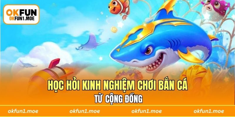 Người chơi học hỏi kinh nghiệm chơi bắn cá từ cộng đồng